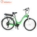 11.6Ah 36V 300W rear hub motor Electric Bicycle